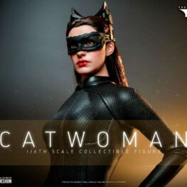 Catwoman Hot Toys The Dark Knight Trilogy Movie Masterpiece Action Figure 1/6