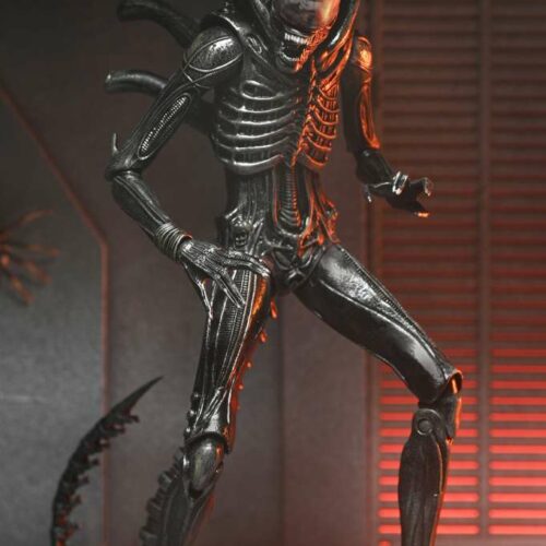 Alien Romulus Xenomorph Xx121 ultimate action figure Neca