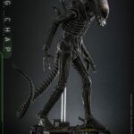 Alien Movie Masterpiece Action Figure 1/6 Big Chap 36 cm Hot Toys