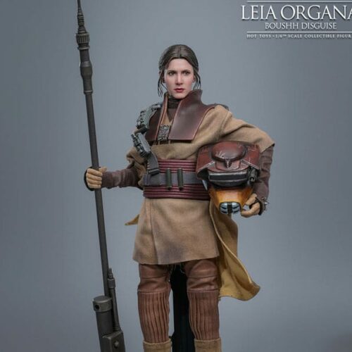 Leia Organa Boushh Disguise