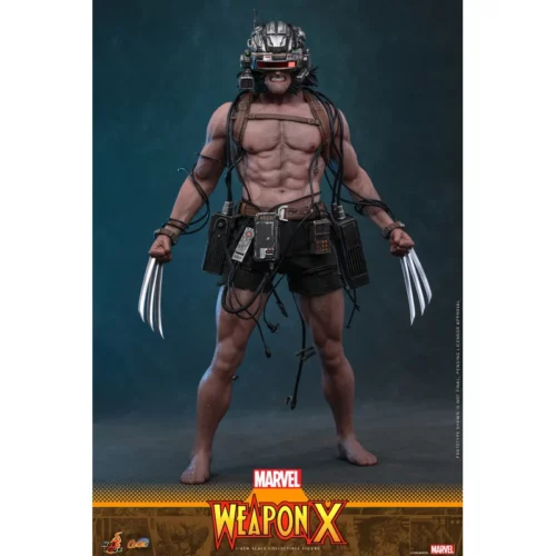 Hot Toys CMS034 Marvel Comics Collectible Action Figure 1/6 Weapon X 31cm