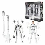Marvel Legends Action Figure Future Foundation 2-Pack Mister Fantastic & Spider-Man 15 cm